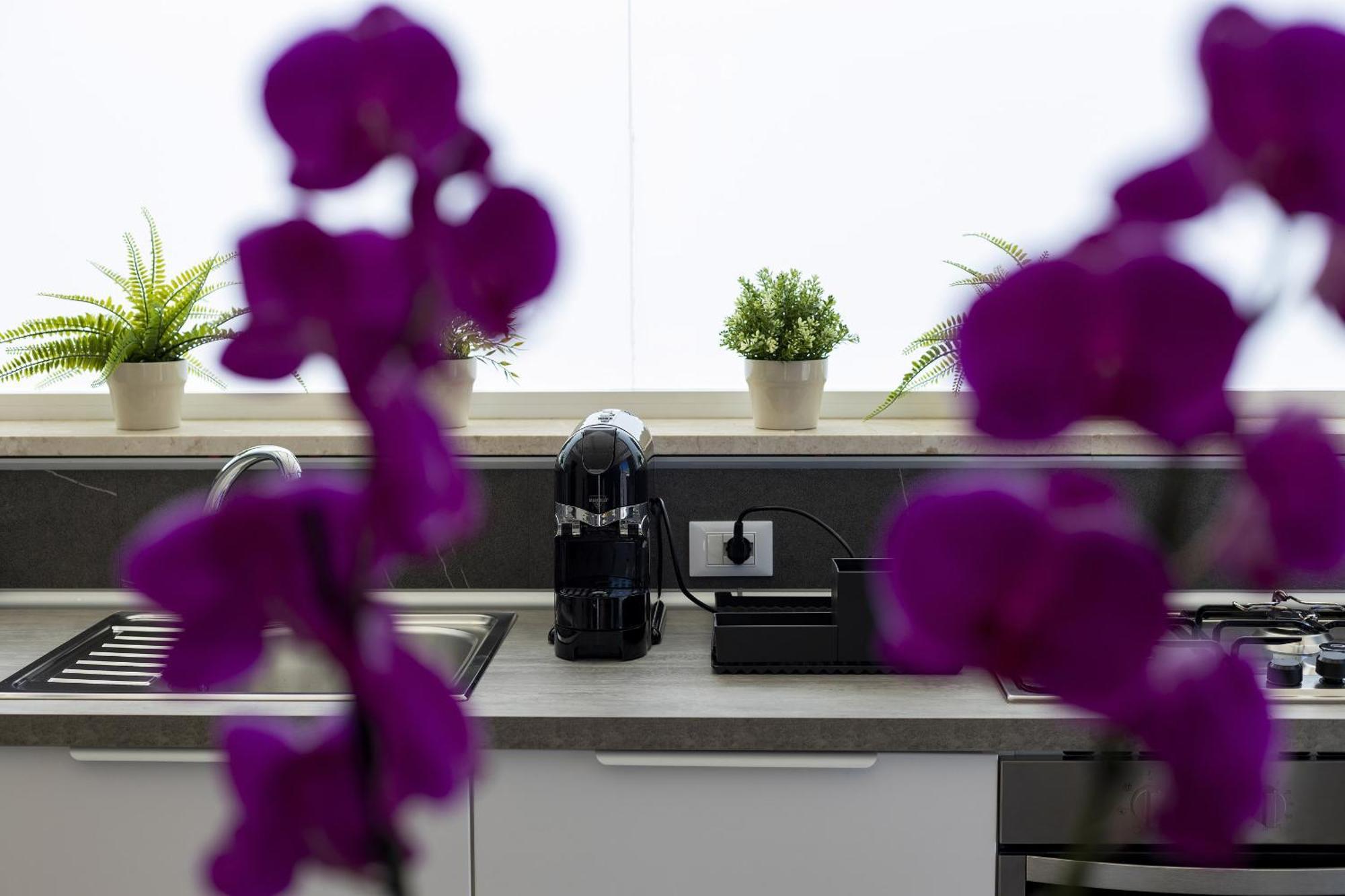 Acquaro Suite Apartments 圣维托罗卡波 客房 照片